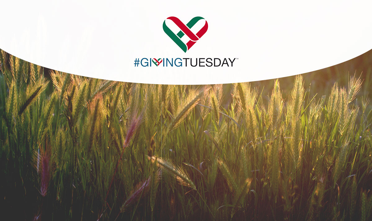 Immagine progetto agricultura e nutrizione #GivingTuesday